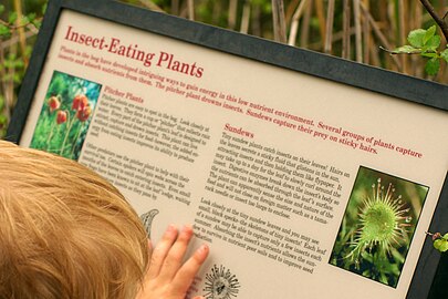 Sign at Lake Bemidji State Park describing the carnivorous plants located there