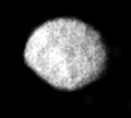 Larissa 1989, Voyager 2