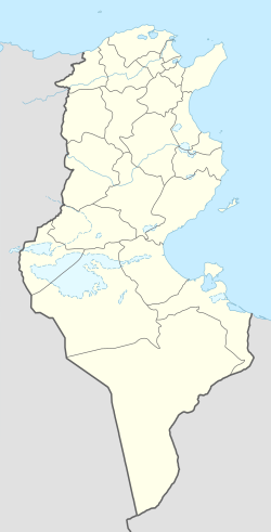 托澤爾在突尼西亞的位置