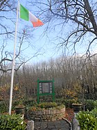 Flag and copy of the Proclamation in Clonegal