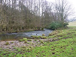 a small river looking downstream. A wood is on the left bank, and fields on the right