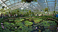en:Royal_Botanic_Gardens,_Kew, en:Biosequestration
