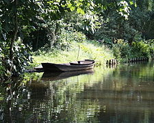 Típica canoa en bosque del Spree