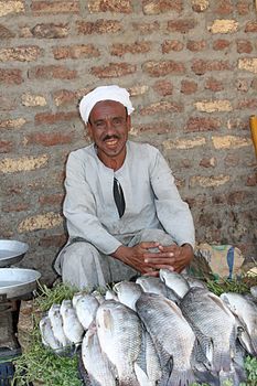Un vendeire de peisses en Egipte. (definicion vertadièra 2 848 × 4 272 *)