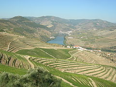The cultivated hillsides and river valleys of Northern Portugal.