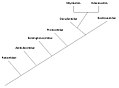 Image 13A phylogenetic tree showing the relationships among cetacean families. (from Evolution of cetaceans)
