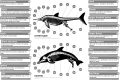 Image 12Dolphins (aquatic mammals) and ichthyosaurs (extinct marine reptiles) share a number of unique adaptations for fully aquatic lifestyle and are frequently used as extreme examples of convergent evolution (from Evolution of cetaceans)