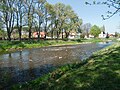 Řeka Volyňka v obci