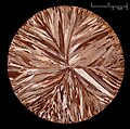 32 Etched copper disc