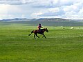 Mongolian Stepa
