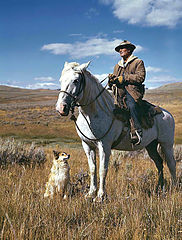 A Montana shepherd, 1942