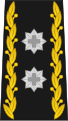 Divisionnaire (commandant d'une région territoriale, chef de l'État-Major de l'Armée) (div)
