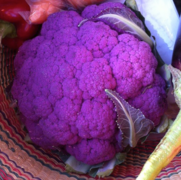 Фіолетова цвітна капуста