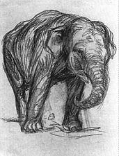 Éléphant, 1907, craie, Kunsthalle de Hambourg, Hambourg