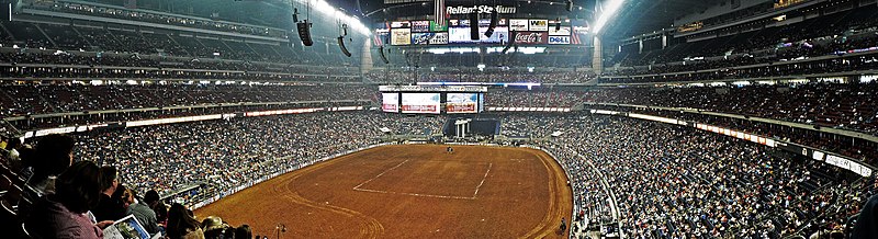 The annual Houston Livestock Show and Rodeo held inside the Reliant Stadium.