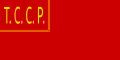 علم الجمهورية التركستانية السوفيتية الاشتراكية المستقلة (1918–24)[ي]