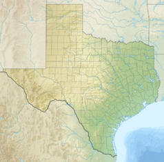 Mapa konturowa Teksasu, po prawej nieco na dole znajduje się punkt z opisem „Houston”