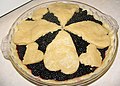 Blackberry pie made with a pastry crust