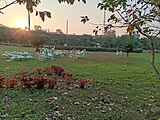 Kadri Park in Mangalore - Carriages in the circular garden