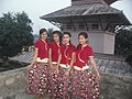 Image 7Nepali traditional Pahadi dress used for dance (from Culture of Nepal)