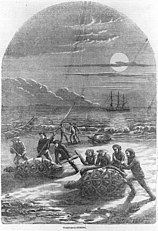 Historic engraving of men catching turtles on a beach