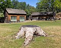 Replica of a wood shop / schoolhouse (left) and blacksmith shop (right); in the front the stump of a valley oak taken down in 2016