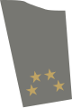 Distintivo de general CEMGFA