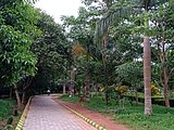 An Alley at Kadri Park in Mangalore - 2