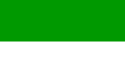 ธงชาติซัคเซิน-อัลเทินบวร์ค