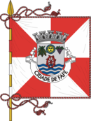 Bandeira de {{{município}}}