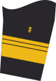 Dienstgradabzeichen eines Admiraloberstabsarztes (Approbation für Humanmedizin) auf dem Unterärmel der Jacke des Dienstanzuges für Marineuniformträger