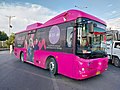 Image 11Peoples Bus Service (Pink) (from Karachi)