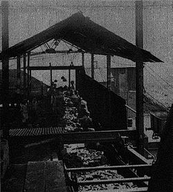 Singareni Coal Mine in 1928.