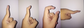 Movement of the three finger phalanges; Distal, middle and proximal