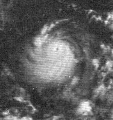 A satellite image of Hurricane Edith near Central America. The storm is at or near its peak intensity.