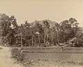 ആയൂർ (ഐയൂർ) ക്ഷേത്രം (1900)