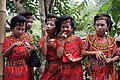 Young Toraja girls at a wedding ceremony