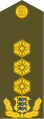 Kindralleitnant[19] (Estonian Land Forces)