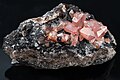 Image 58Rhodochrosite, by JJ Harrison (from Wikipedia:Featured pictures/Sciences/Geology)
