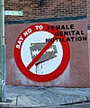 Naiste suguelundite moonutamise vastane tänavakunst Sydneys