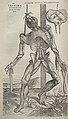 Image 20Vesalius's intricately detailed drawings of human dissections in Fabrica helped to overturn the medical theories of Galen. (from Scientific Revolution)