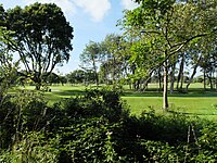 A view on a golf course with some trees and sand banks seen. A putt area is seen to the left, behind the tree