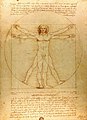 Image 71Vitruvian Man by Leonardo da Vinci epitomizes the advances in art and science seen during the Renaissance. (from History of Earth)