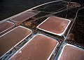 Image 1Aerial view of algae farm ponds for production of beta-carotin, Whyalla, South Australia.