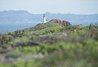 Anacapa Island Light viewed from the west side of the island