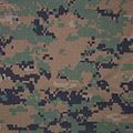 El MARPAT (abreviatura de MARine PATtern) es un patrón de camuflaje pixelado en uso con el Ejército Ecuatoriano.