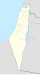 Territoire de la Palestine mandataire initialement revendiqué par les mouvements nationalistes palestiniens.