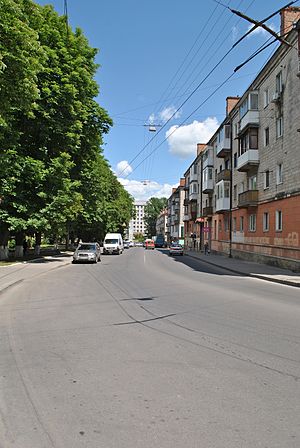 Вигляд на вулицю Замкову з боку скверу біля Старого замку
