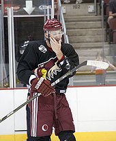 Hanzal holding up his stick and touching his cheek