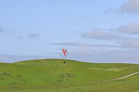 Paragliding in the park